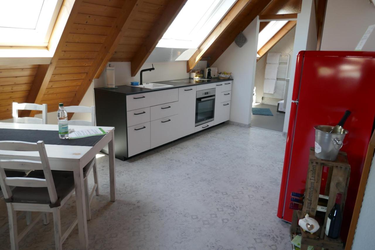 Moderne 2 Zi - Fewo Weinbergliebe Am Tuniberg Zwischen Freiburg Und Frankreich Merdingen Bagian luar foto