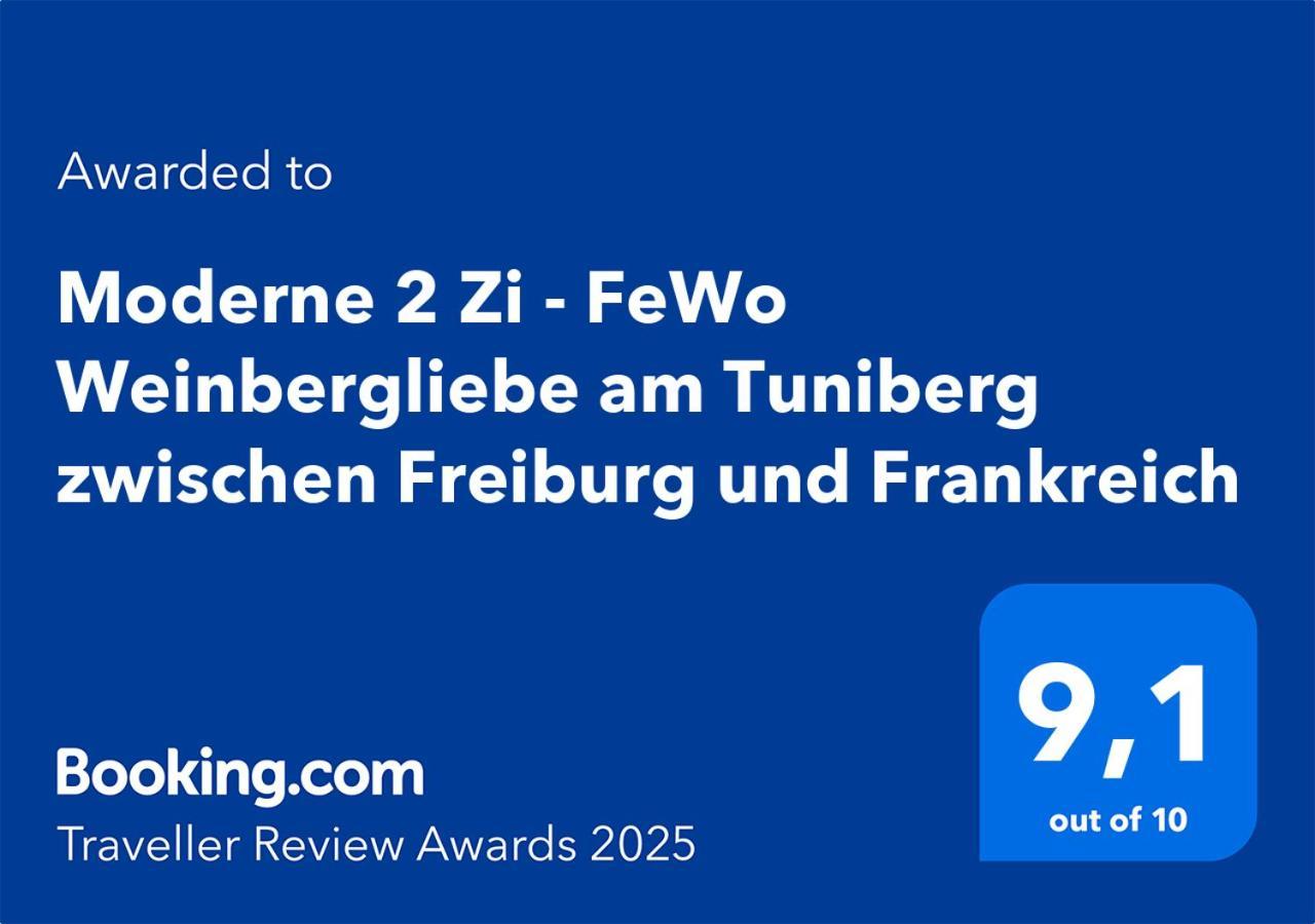 Moderne 2 Zi - Fewo Weinbergliebe Am Tuniberg Zwischen Freiburg Und Frankreich Merdingen Bagian luar foto